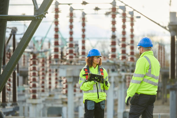Best Affordable Electrician  in Dunedin, FL
